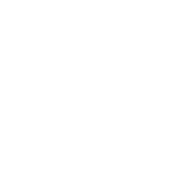 Law Society of Ireland